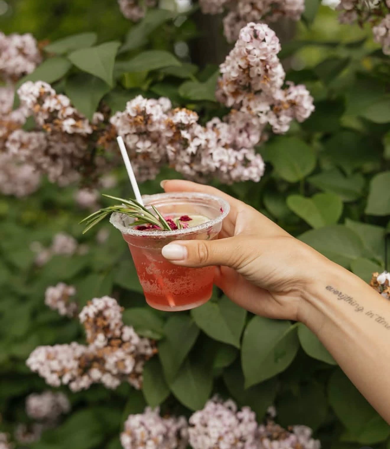 Rosemary cocktail